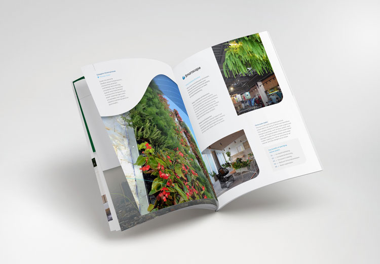 樹立品牌形象,vi品牌形象,品牌形象定位,品牌形象案例,