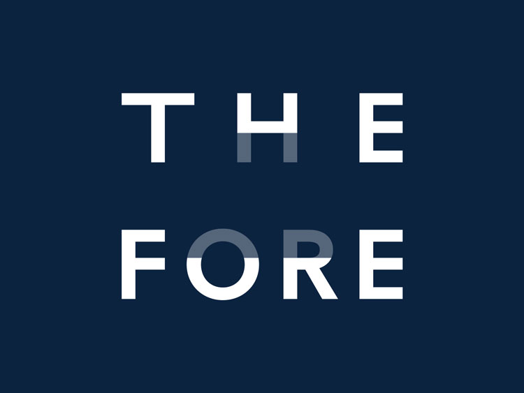 Fitch慈善機(jī)構(gòu)品牌設(shè)計(jì)方案,分析品牌設(shè)計(jì)理念與法則