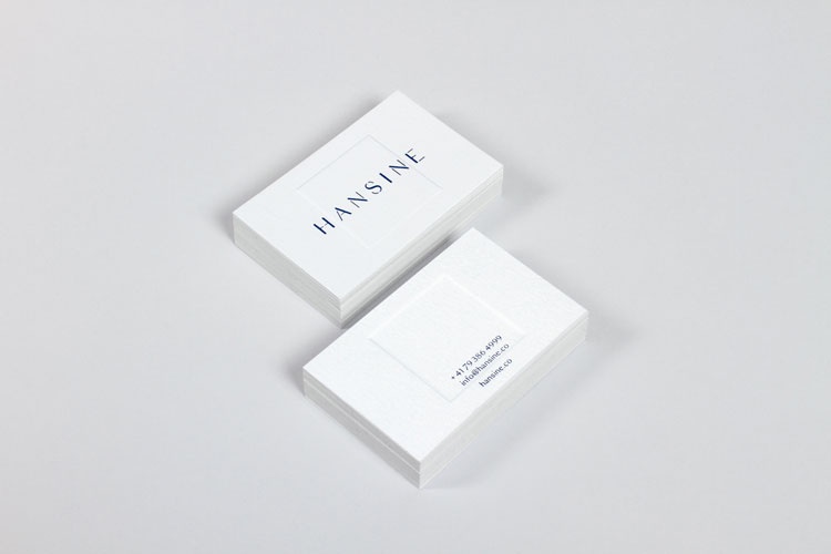 Hansin時(shí)尚品牌vi設(shè)計(jì)/視覺識(shí)別系統(tǒng)設(shè)計(jì)