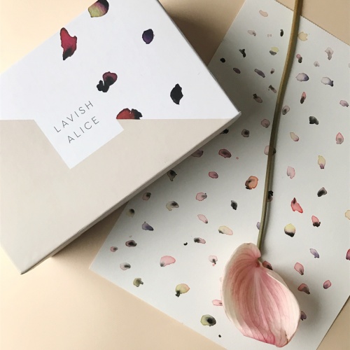 奢華的愛麗絲限量版產(chǎn)品包裝設(shè)計