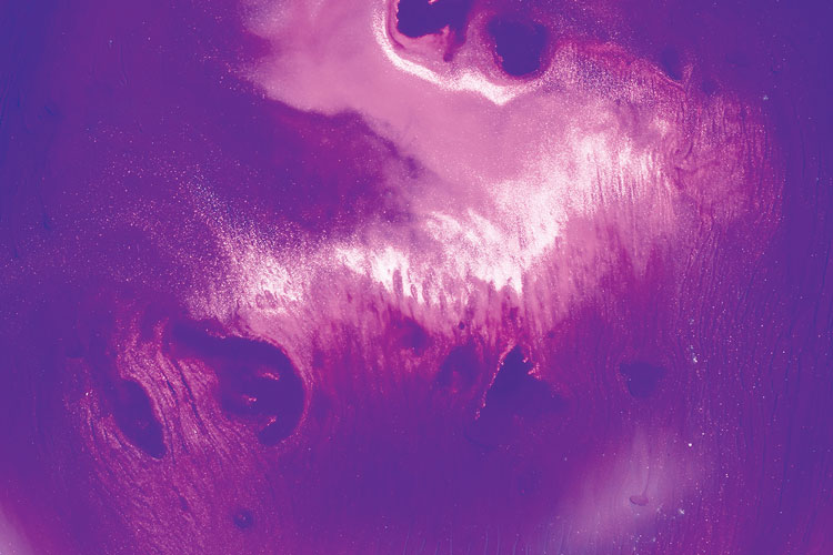 聯(lián)邦啤酒產(chǎn)品包裝設(shè)計，絢麗多彩