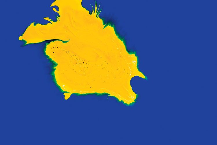 聯(lián)邦啤酒產(chǎn)品包裝設(shè)計，絢麗多彩