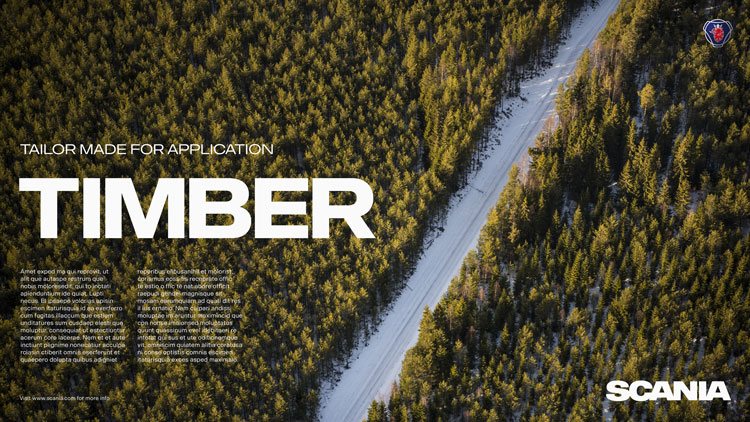 瑞典卡車和巴士制造商Scania企業(yè)形象設(shè)計(jì),logo設(shè)計(jì)